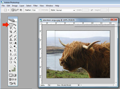 Cropping with Photoshop