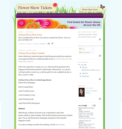 Customised Blogspot Screenshot