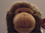 General web monkey and Team Moral Officer; Monks a great listener!
